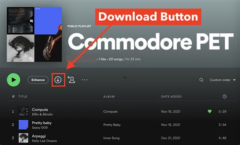 Can I Download Music from Spotify to My Computer? And Why Do Cats Love Sitting on Keyboards?